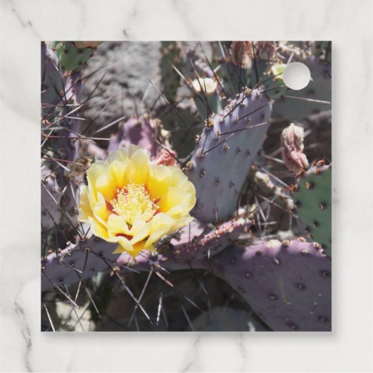 Yellow cactus flower in spring geschenkanhänger (Rückseite)