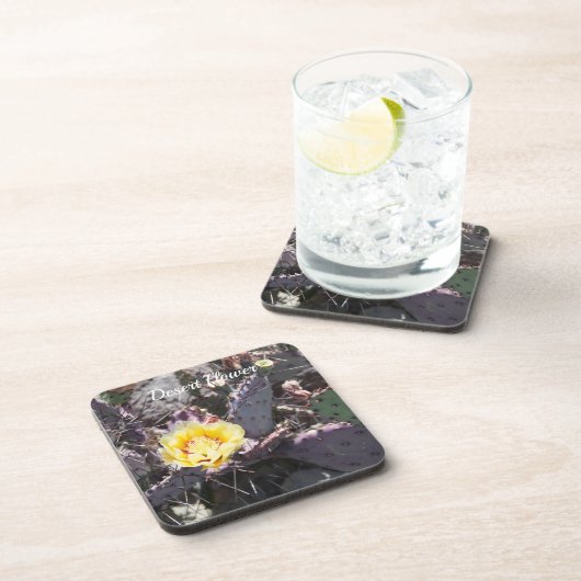 Yellow cactus flower in spring getränkeuntersetzer (Rechte Seite)