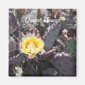 Yellow cactus flower in spring magnet (Vorne)