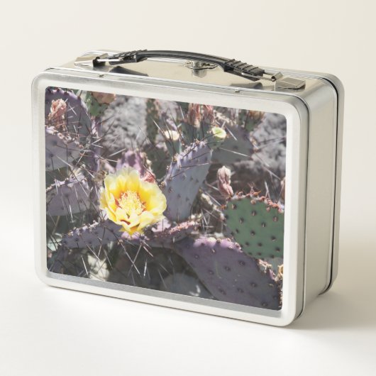 Yellow cactus flower in spring metall brotdose (Rückseite)