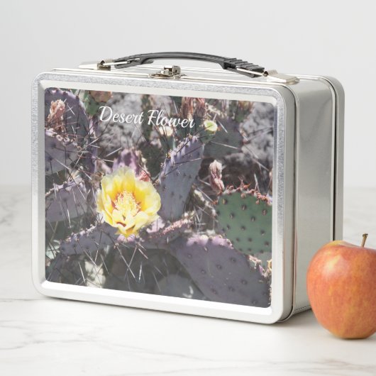 Yellow cactus flower in spring metall brotdose (Beispiel)