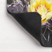 Yellow cactus flower in spring mousepad (Ecke)