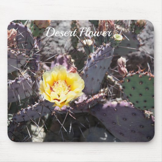 Yellow cactus flower in spring mousepad (Vorne)