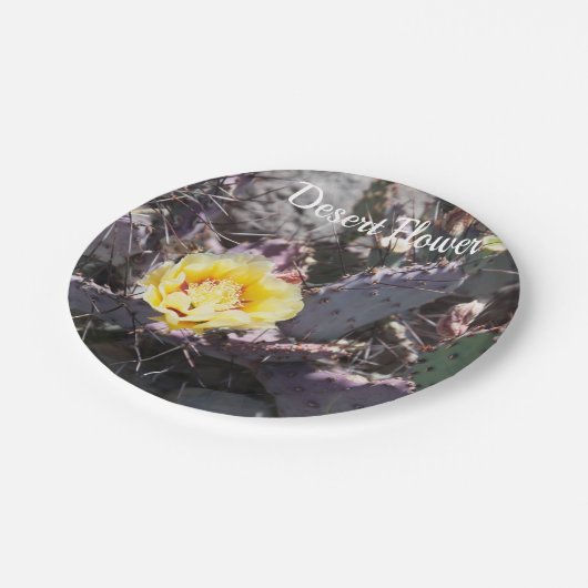 Yellow cactus flower in spring pappteller (Schrägansicht)