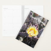 Yellow cactus flower in spring planer (Anzeige)