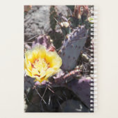 Yellow cactus flower in spring planer (Rückseite)