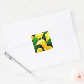 Yellow Calla Lilies Quadratischer Aufkleber (Umschlag)