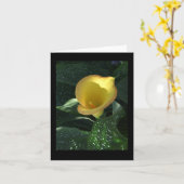Yellow Calla Lily Blank Notecard Karte (Gelbe Blume)