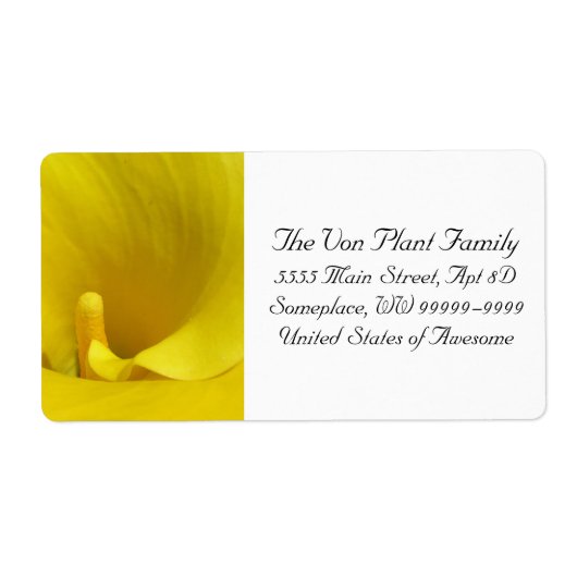 Yellow Calla Lily Blume (Vorne)