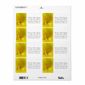 Yellow Calla Lily Blume (Vorne)