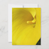 Yellow Calla Lily Blume Einladung (Rückseite)