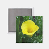 Yellow Calla Magnet (Vorderseite/Rückseite)