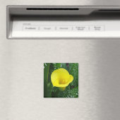 Yellow Calla Magnet (In Situ (Geschirrspüler))