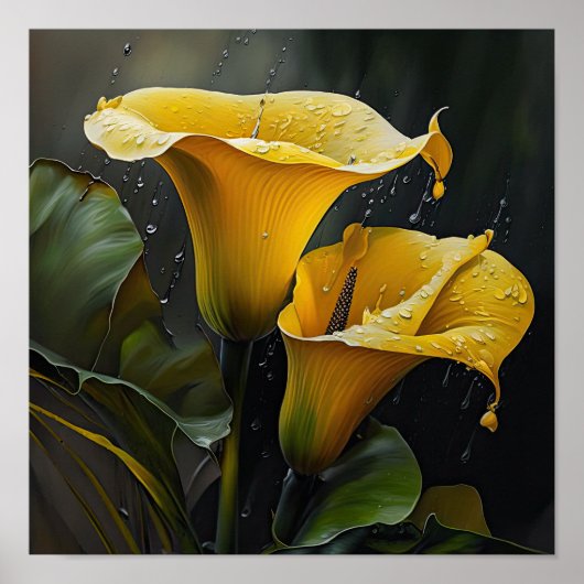 Yellow Calles Lilies Lily Blume Poster (Vorne)
