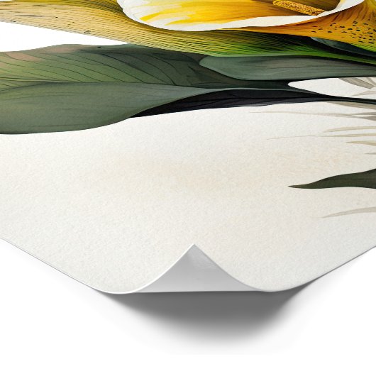 Yellow Calles Lilies Lily Blume Poster (Ecke)