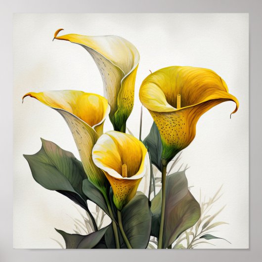 Yellow Calles Lilies Lily Blume Poster (Vorne)