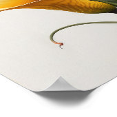 Yellow Calles Lilies Lily Blume Poster (Ecke)