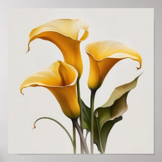 Yellow Calles Lilies Lily Blume Poster (Vorne)