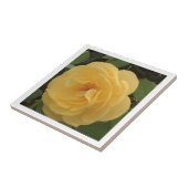 Yellow Camellia Tile Fliese (Seite)
