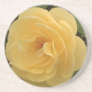 Yellow Camellia Untersetzer