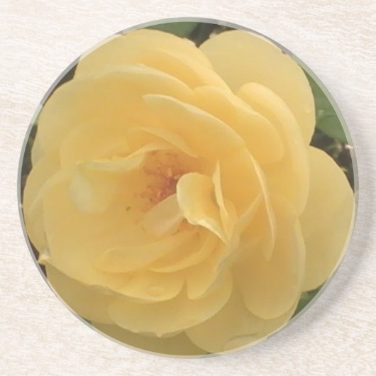 Yellow Camellia Untersetzer (Vorne)