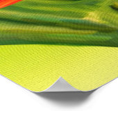 Yellow Canarie name Holly Poster (Ecke)