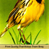 Yellow Canarie name Howey Badhandtuch Set