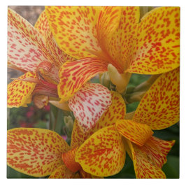 Yellow Canna Lily with Red Speckles Floral Fliese