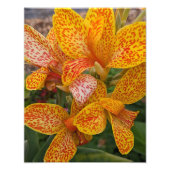 Yellow Canna Lily with Red Speckles Floral Fotodruck (Vorne)