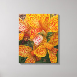 Yellow Canna Lily with Red Speckles Floral Leinwanddruck