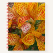 Yellow Canna Lily with Red Speckles Floral Notizblock (Vorderseite)