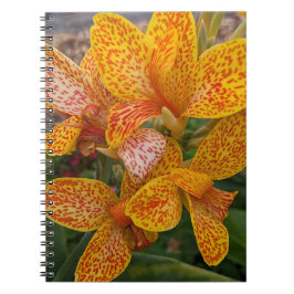 Yellow Canna Lily with Red Speckles Floral Notizblock