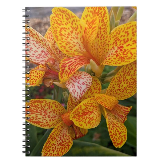 Yellow Canna Lily with Red Speckles Floral Notizblock (Vorderseite)