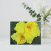 Yellow Cannas Canna Lilies Blume Foto Postkarte (Stehend Vorderseite)