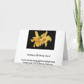 Yellow Cattleya Orchid Geburtstagskarte Karte (Rückseite)