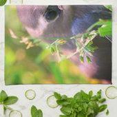 Yellow Cedar Waxwing Fledgling Bird Geschirrtuch (Gefaltet)