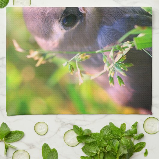Yellow Cedar Waxwing Fledgling Bird Geschirrtuch (Gefaltet)