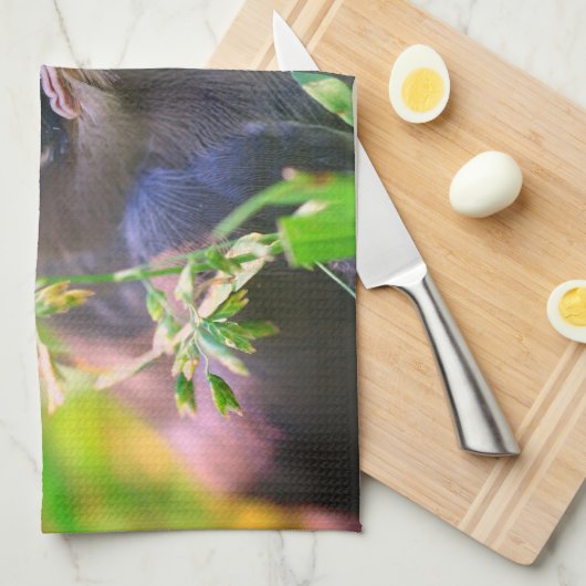 Yellow Cedar Waxwing Fledgling Bird Geschirrtuch (Viertel Falte)