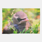 Yellow Cedar Waxwing Fledgling Bird Geschirrtuch (Horizontal)