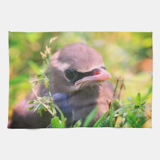Yellow Cedar Waxwing Fledgling Bird Geschirrtuch (Horizontal)