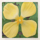 Yellow Celandine Poppy Floral Glasuntersetzer (Vorderseite)