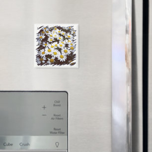 Yellow Center White Shasta Daisies Fotograf Magnet