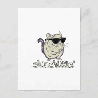 Yellow Chinchillin Chinchilla Postkarte