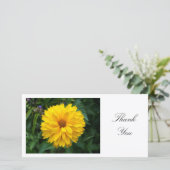 Yellow Chrysanthemum - Danke (Stehend Vorderseite)