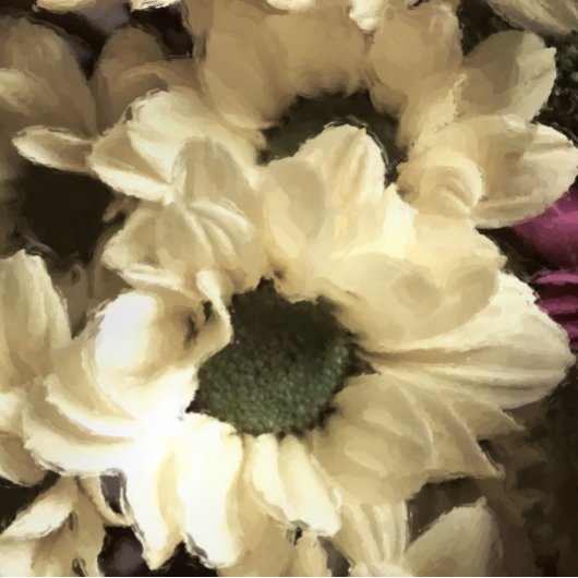 YELLOW CHRYSANTHEMUM FOTODRUCK