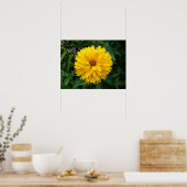 Yellow Chrysanthemum Poster (Küche)