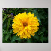 Yellow Chrysanthemum Poster (Vorne)