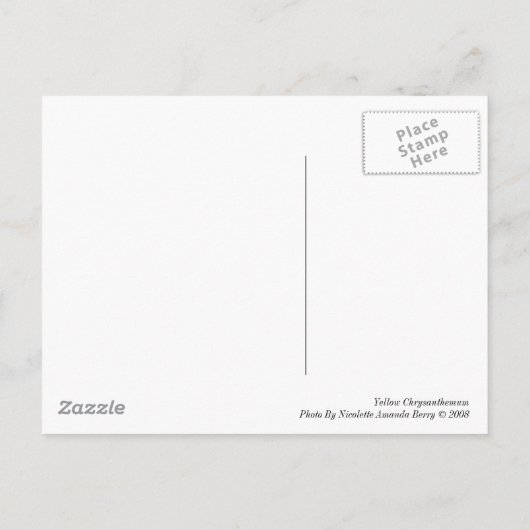 Yellow Chrysanthemum Postkarte (Rückseite)