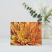 Yellow Chrysanthemum Postkarte (Stehend Vorderseite)