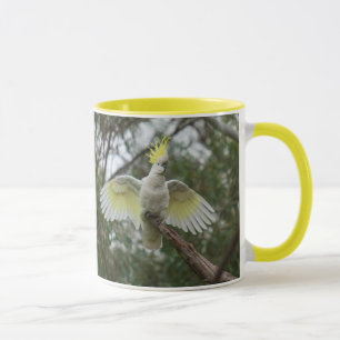 Yellow Cockatop Parrot Bird Animal Australia Tasse